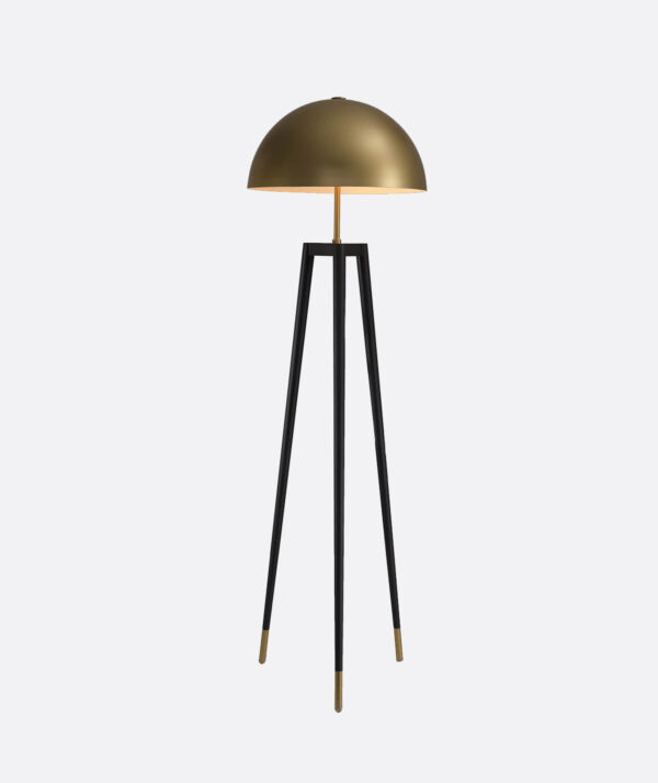 LT-FL020 Floor Lamp