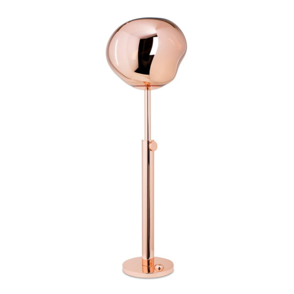LT-FL015 Floor Lamp